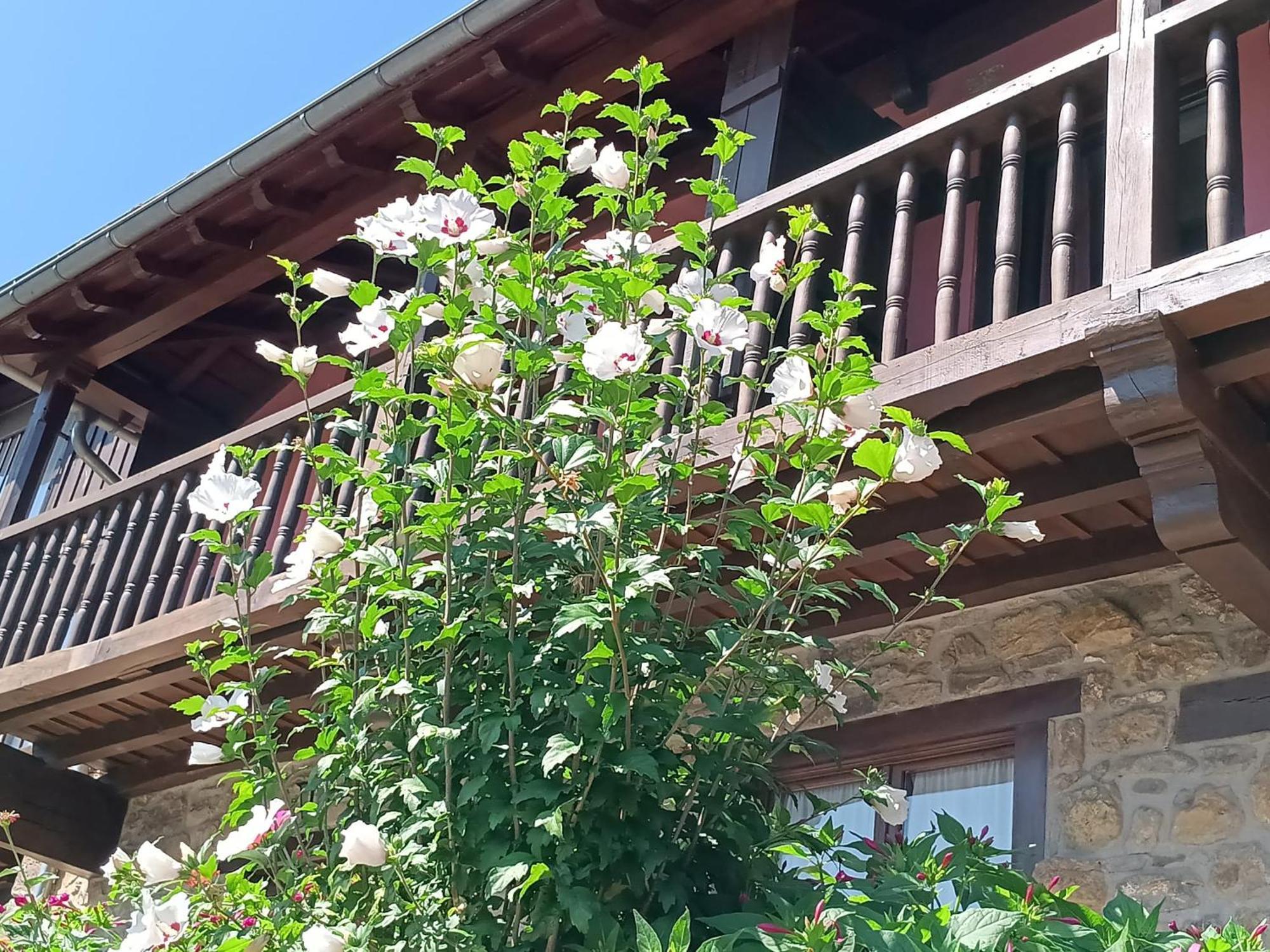 Apartamentos Calm & Nature - Adults Only Кабесон-де-Льебана Экстерьер фото